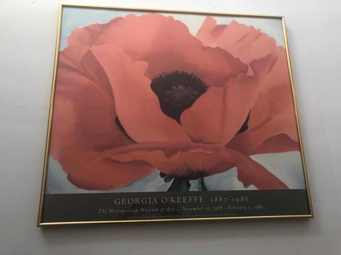 Georgia O’Keeffe Framed Poster