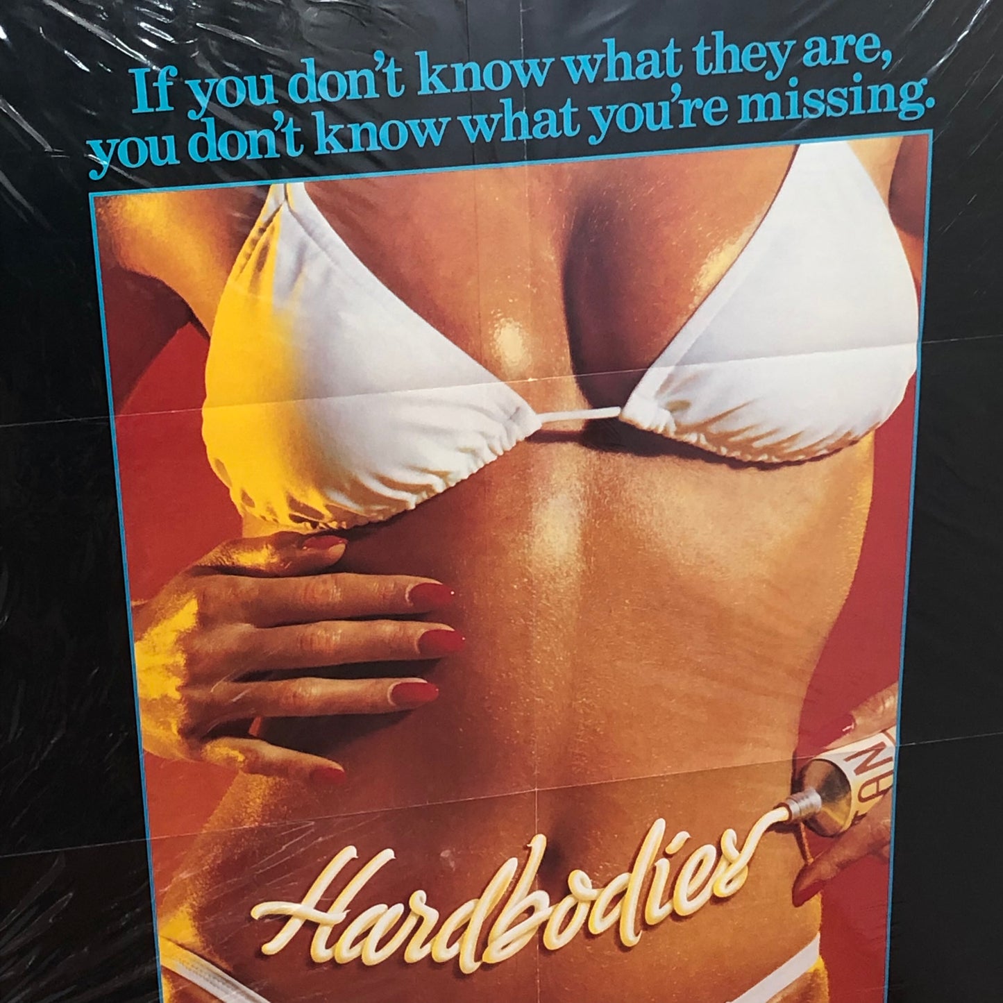 Hardbodies Move Poster