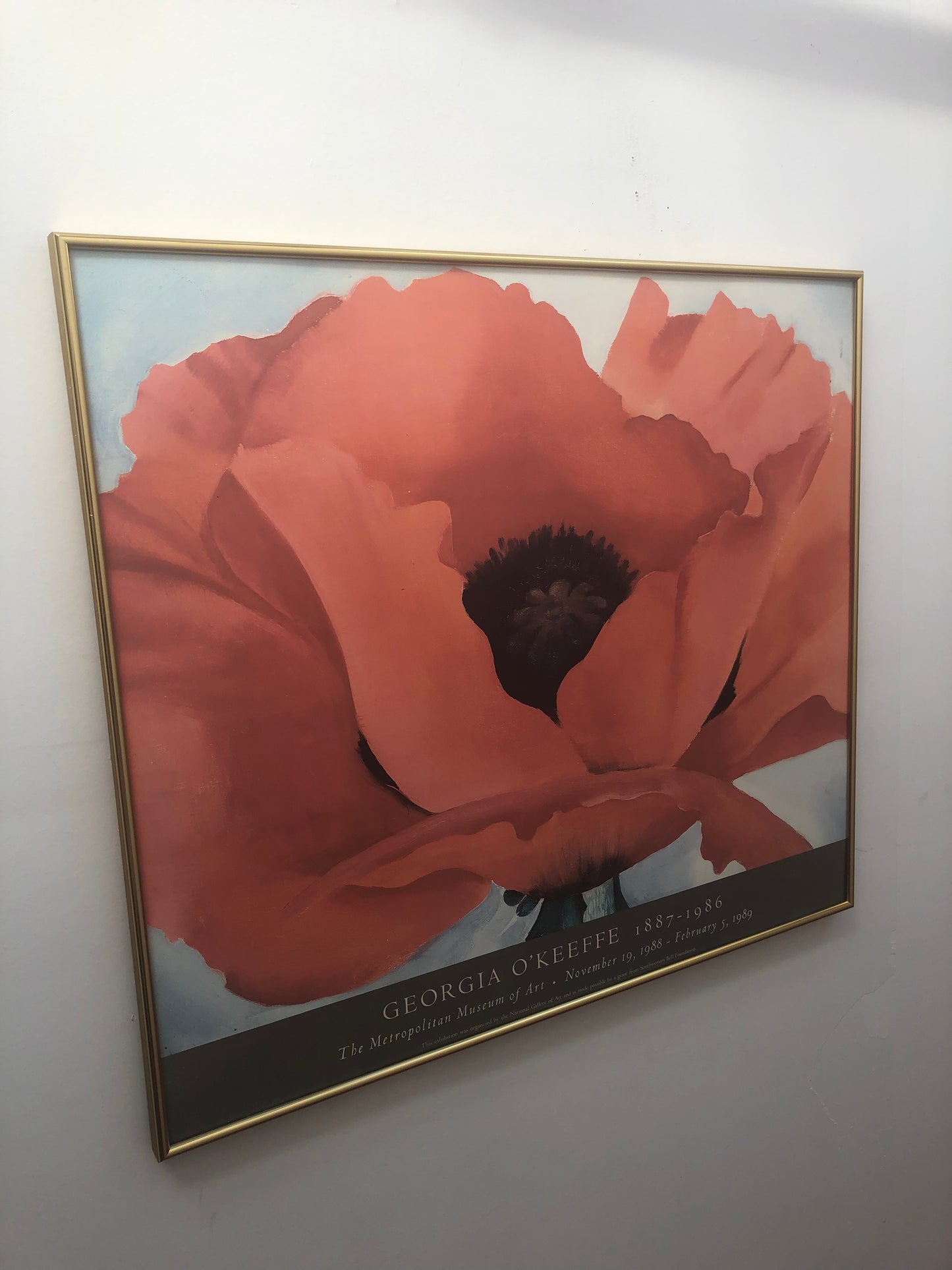 Georgia O’Keeffe Framed Poster